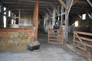 Hier die Stallgasse: Rechts wohnen die Ziegen, links die Ponys