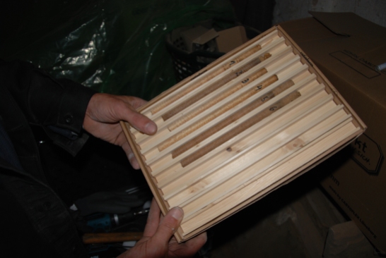 Die Bohrkerne werden in einer Holzschachtel verwahrt und zum Labor geschickt